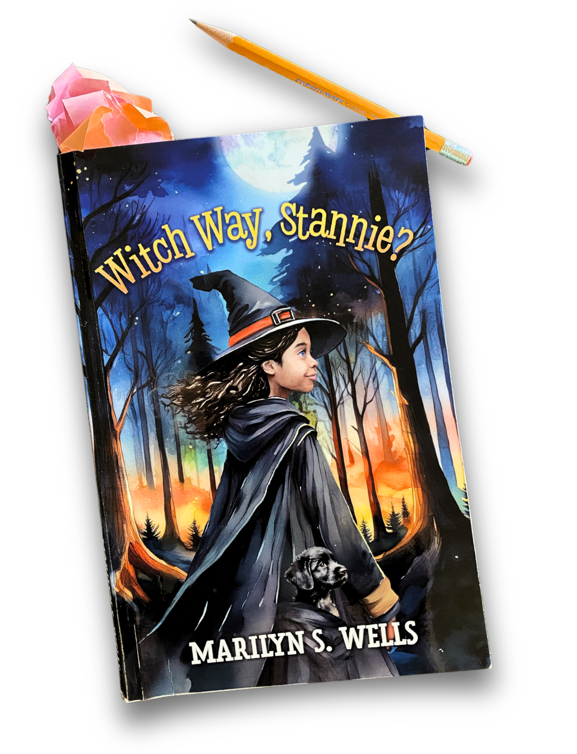 Witch Way, Stannie? - a book of Adventures and Your True Calling by Marilyn Wells