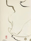 Abstract sumi e Original  “Some Like It Hot” by Marilyn Wells